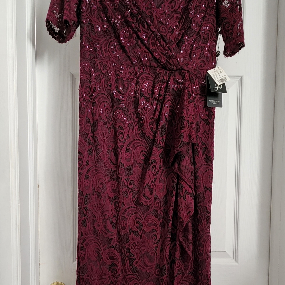 Adrianna papell lace sheath gown.